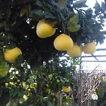 Paradise Bed & Breakfast SantʼAgata sui Due Golfi