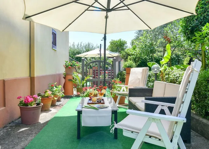 Paradise 3*